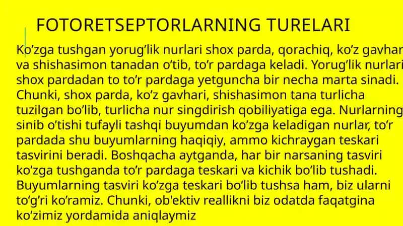 Fotoretseptorlar 3