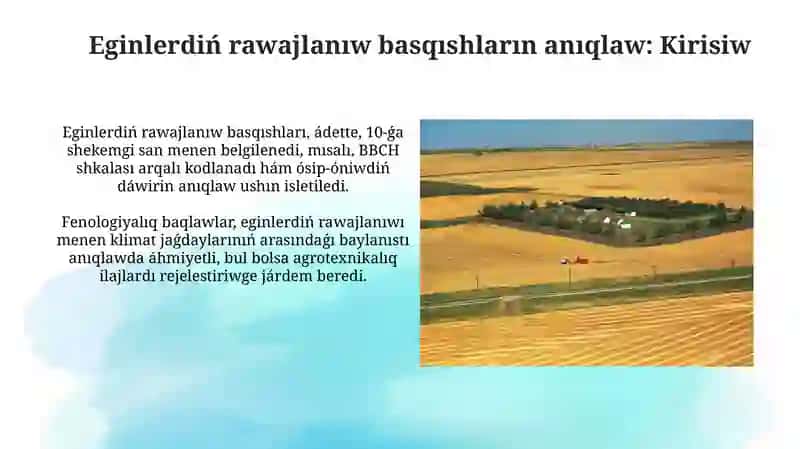 Ekinlerdiń rawajlanıw basqıshlarınıń ónimlilikke tásiri hám ilimiy izertlewler 3