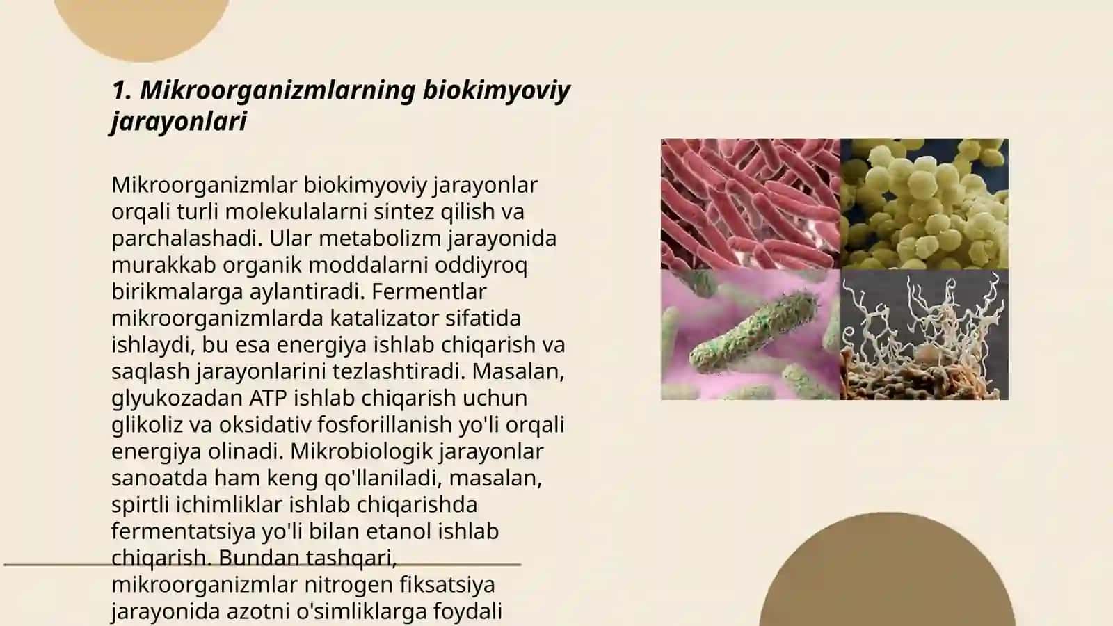 Mikroorganizmlardan zarur moddalarni sintezlab olish 3