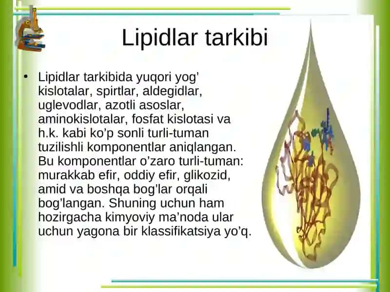 Lipidlar 3