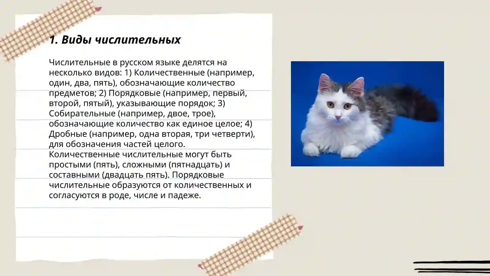 Разряды имен числительных 3