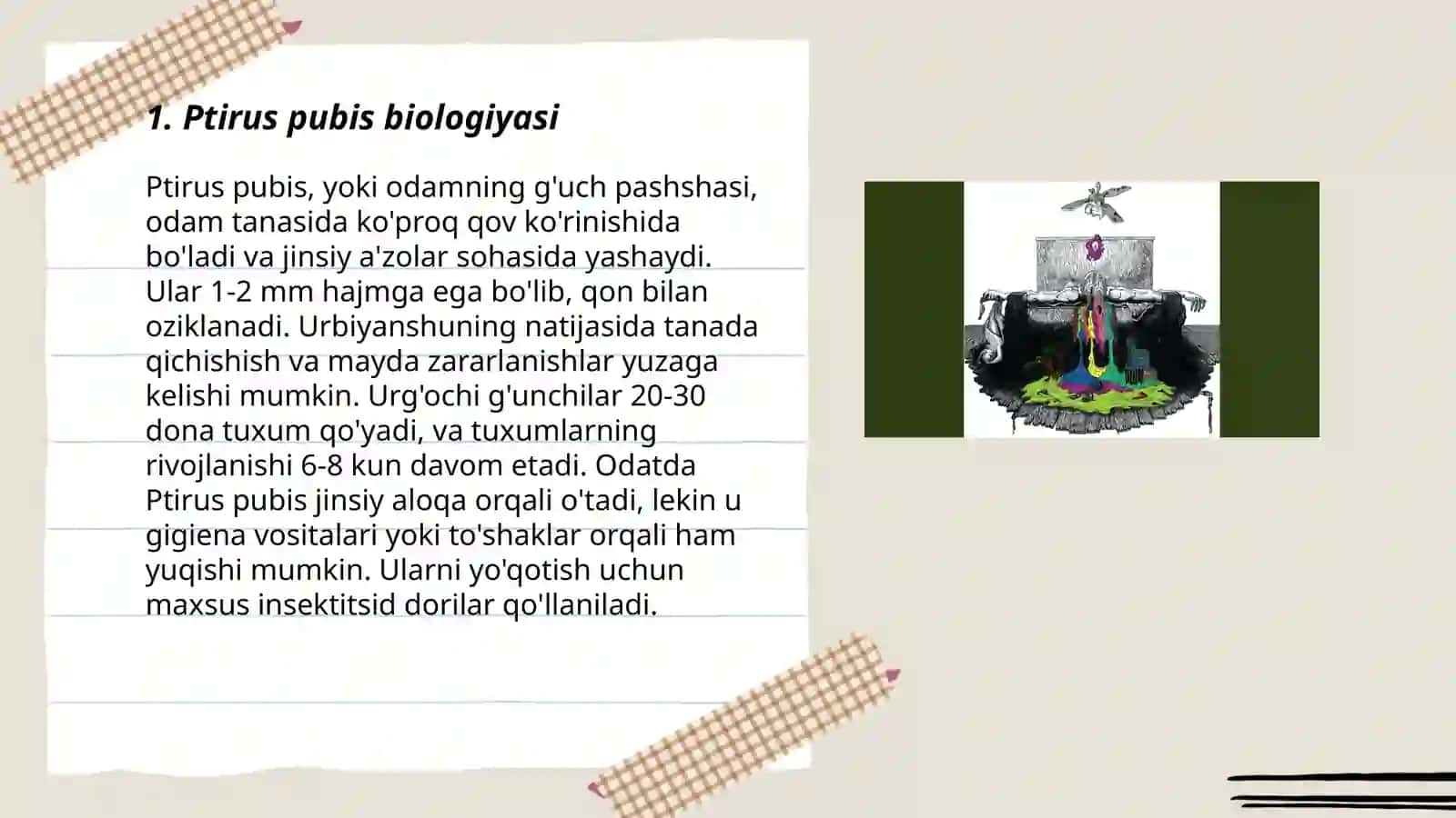 Ptirus pubis biologiyasi 3