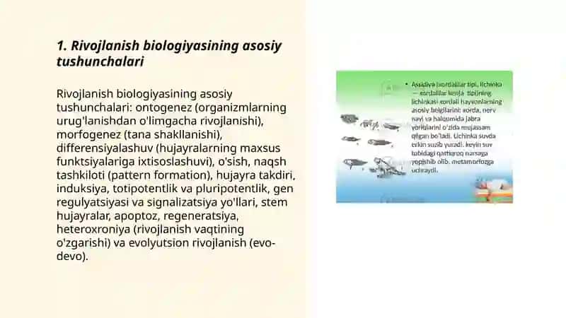 Rivojlanish biologiyasi 3