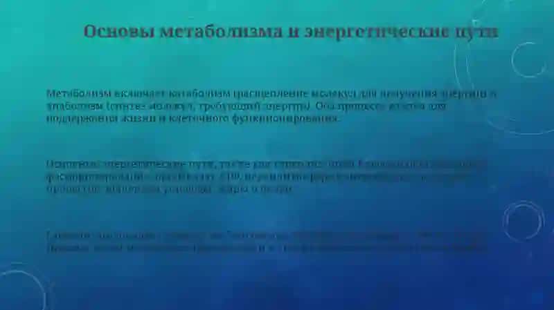 Лечебное дело 3