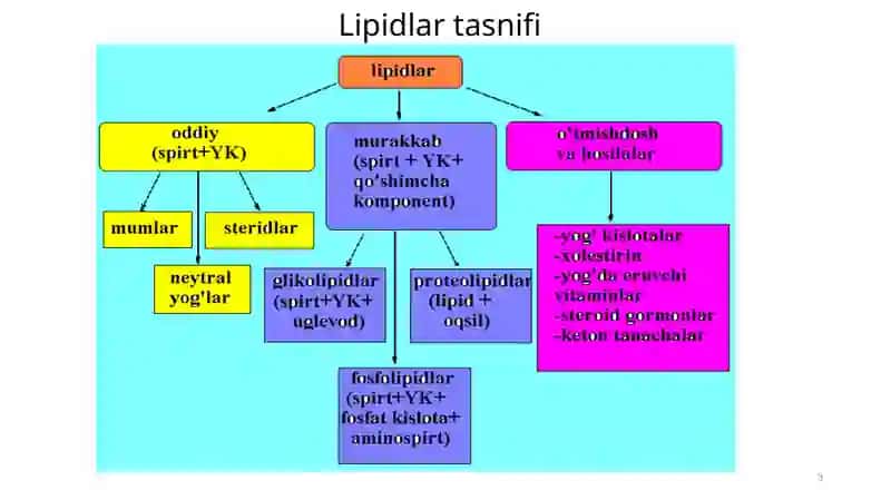LIPIDLAR ALMASHINUVI BIOKIMYOSI 3