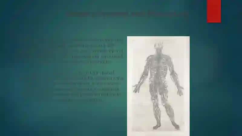 Nervous System 3