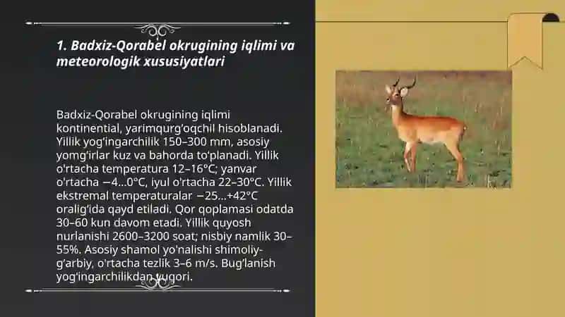 Badxiz-Qorabel okrugiga tabiiy geagrafik tavsiv 3