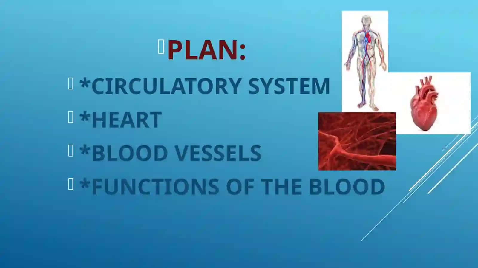 HEART AND A VASCULAR SYSTEM 3