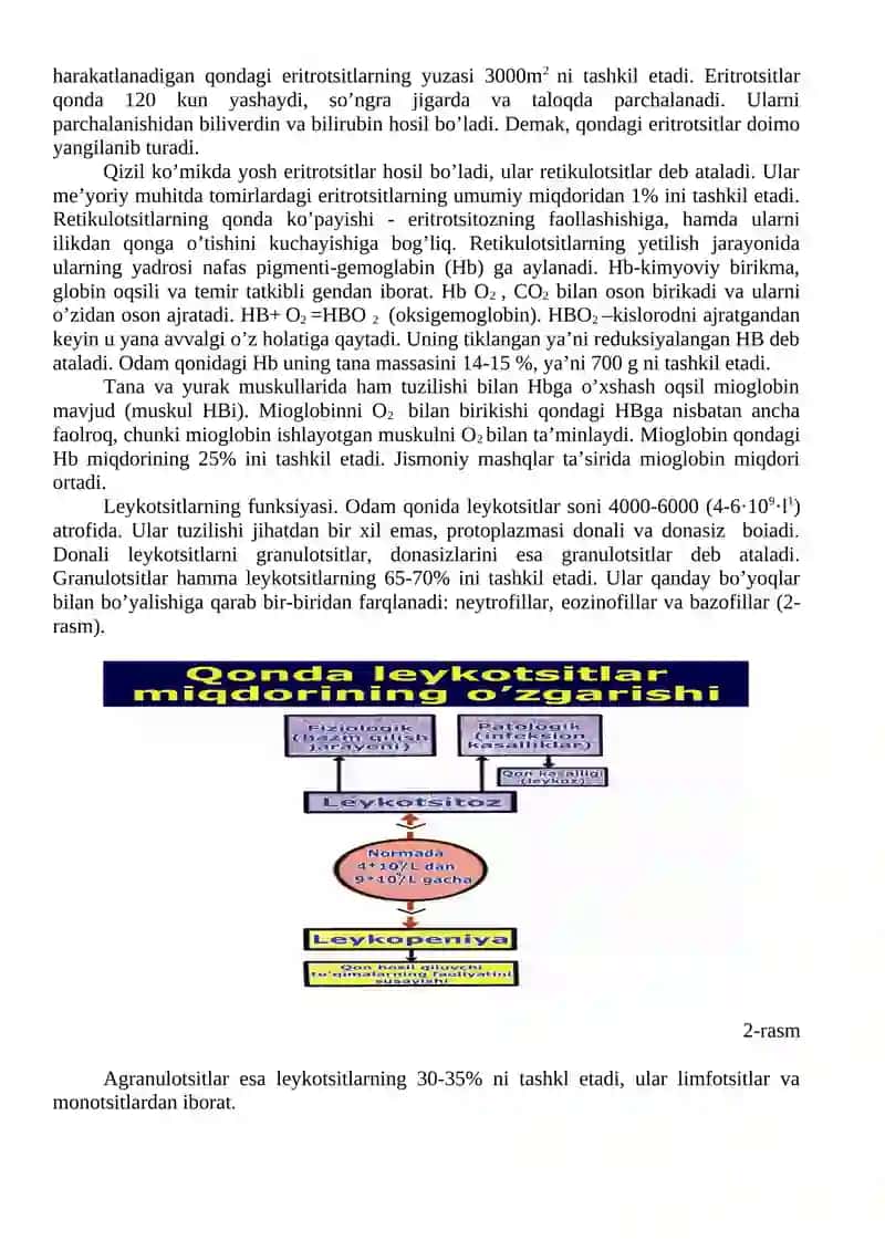Umumiy fiziologiyadan ma'ruzalar 3