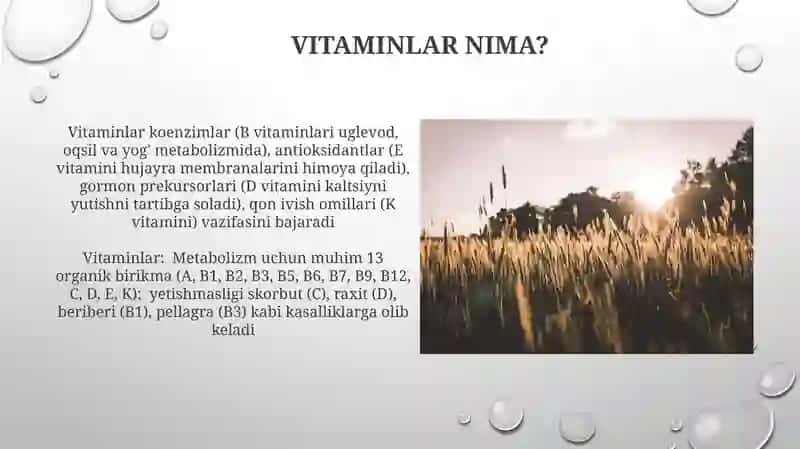 Vitaminlarning biologik roli va asosiy manbalari 3