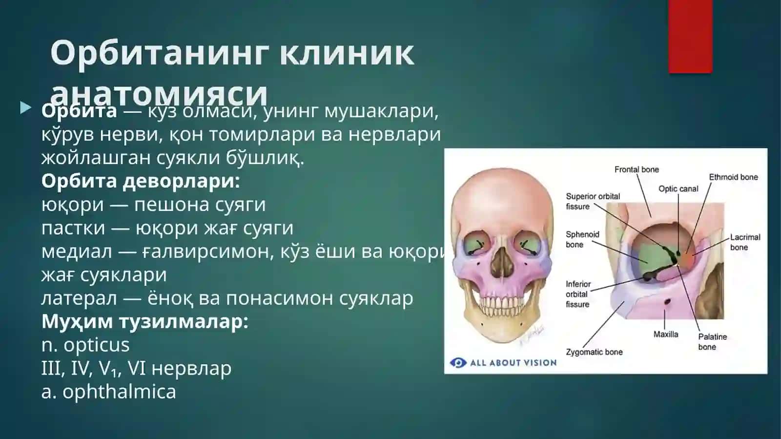 ШУКУРУЛЛАЕВ САРДОР406-АОФТАЛМОЛОГИЯ 3