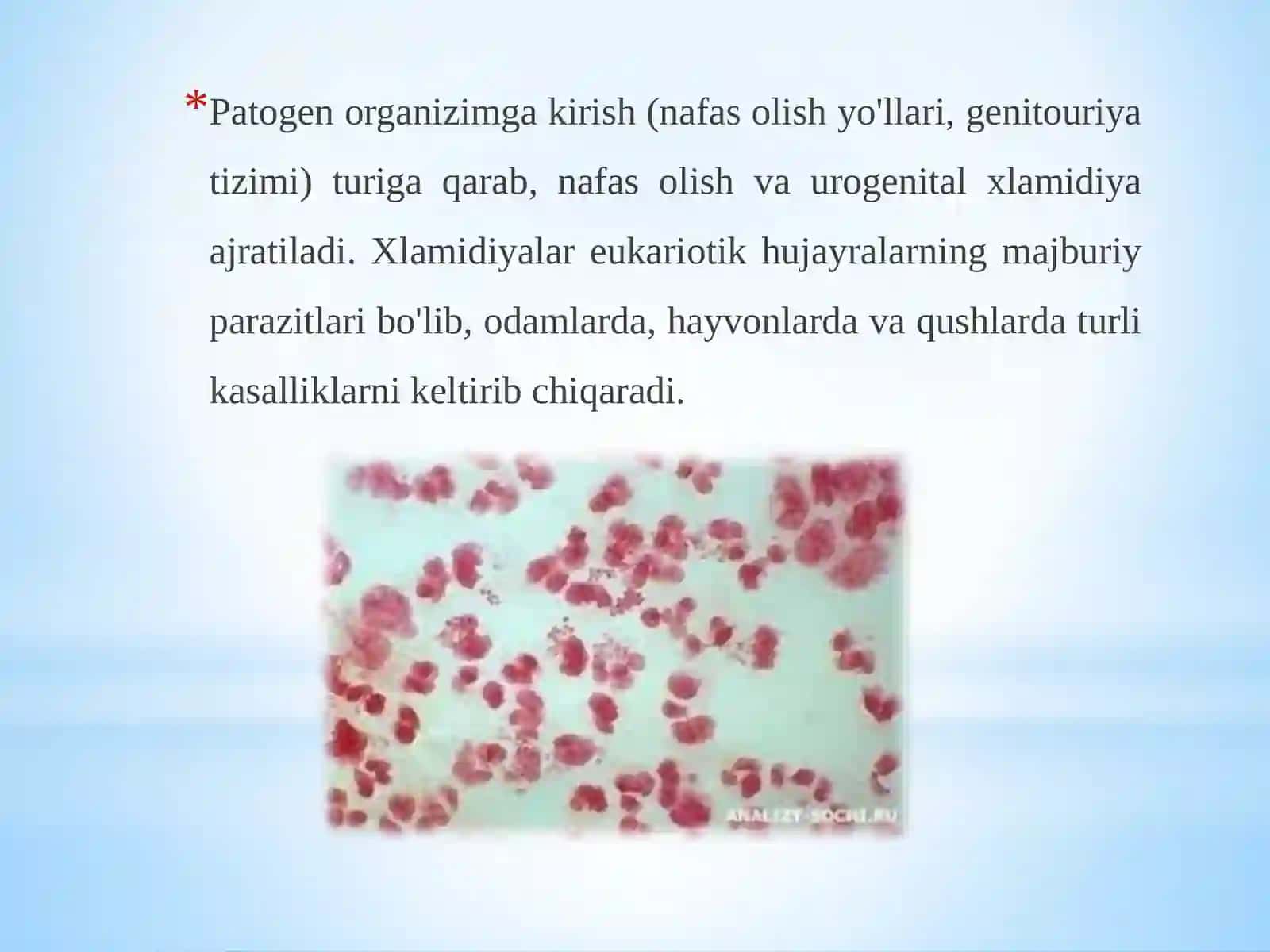 Xlamidiyalar 3
