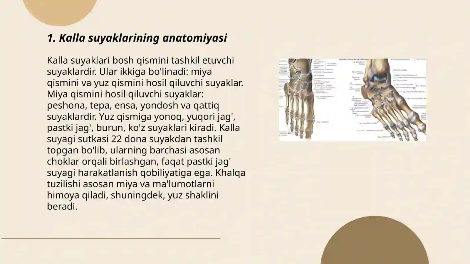 Kalla suyaklari 3