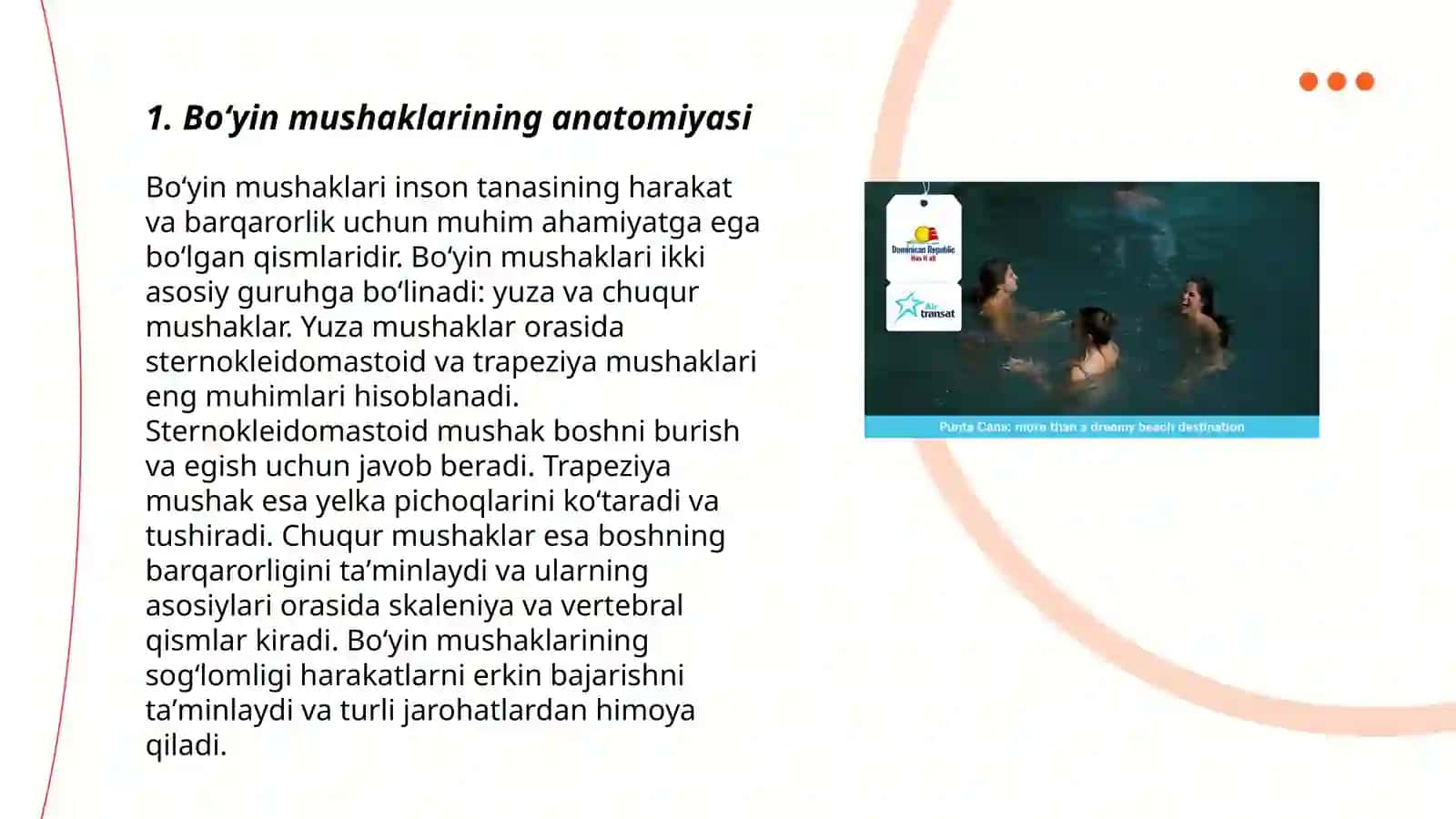 Boʻyin mushaklari, boʻyin uchburchaklari, fassiyalari 3