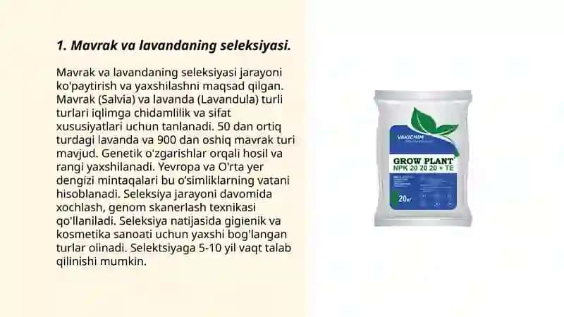 Mavrak va lavandaning biologiyasi yetishtirish texnologiyasi 3
