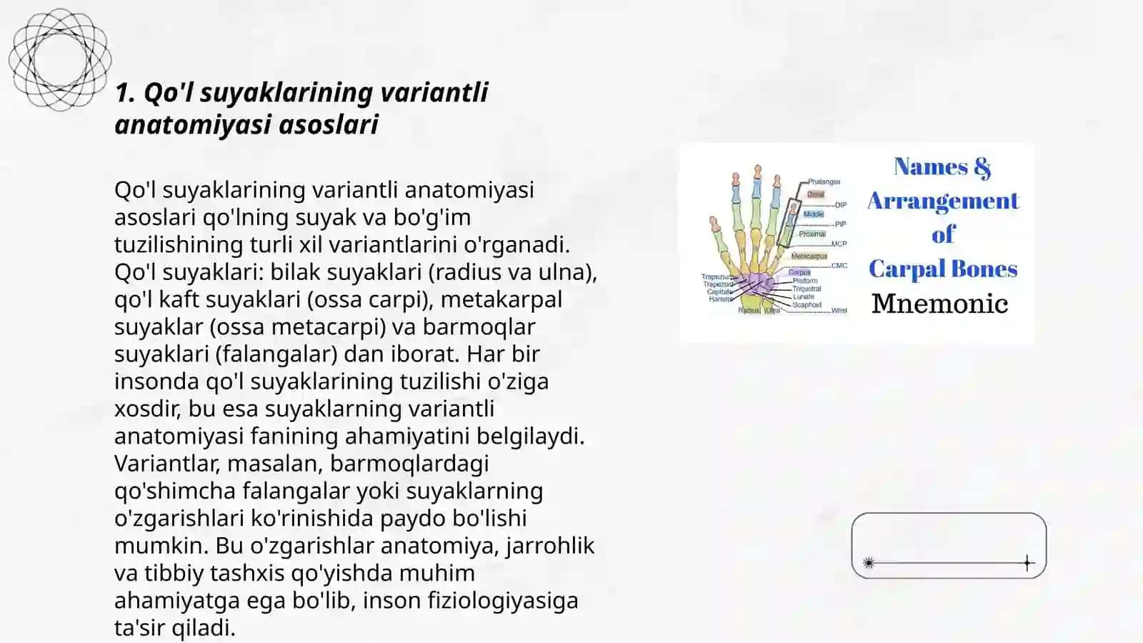 Qo'l suyaklarining variantli anatomiyasi 3