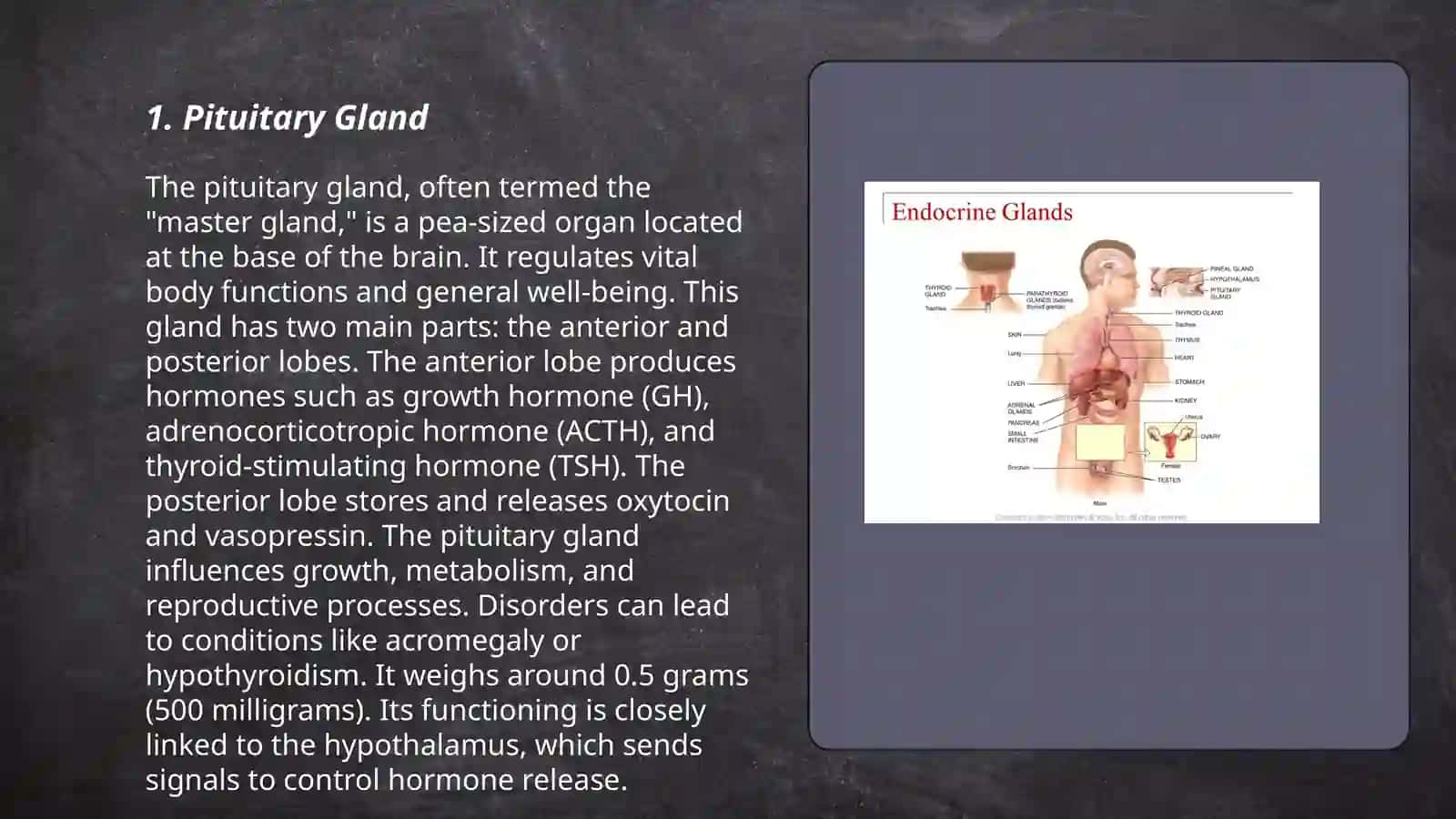 The system of endocrine 3