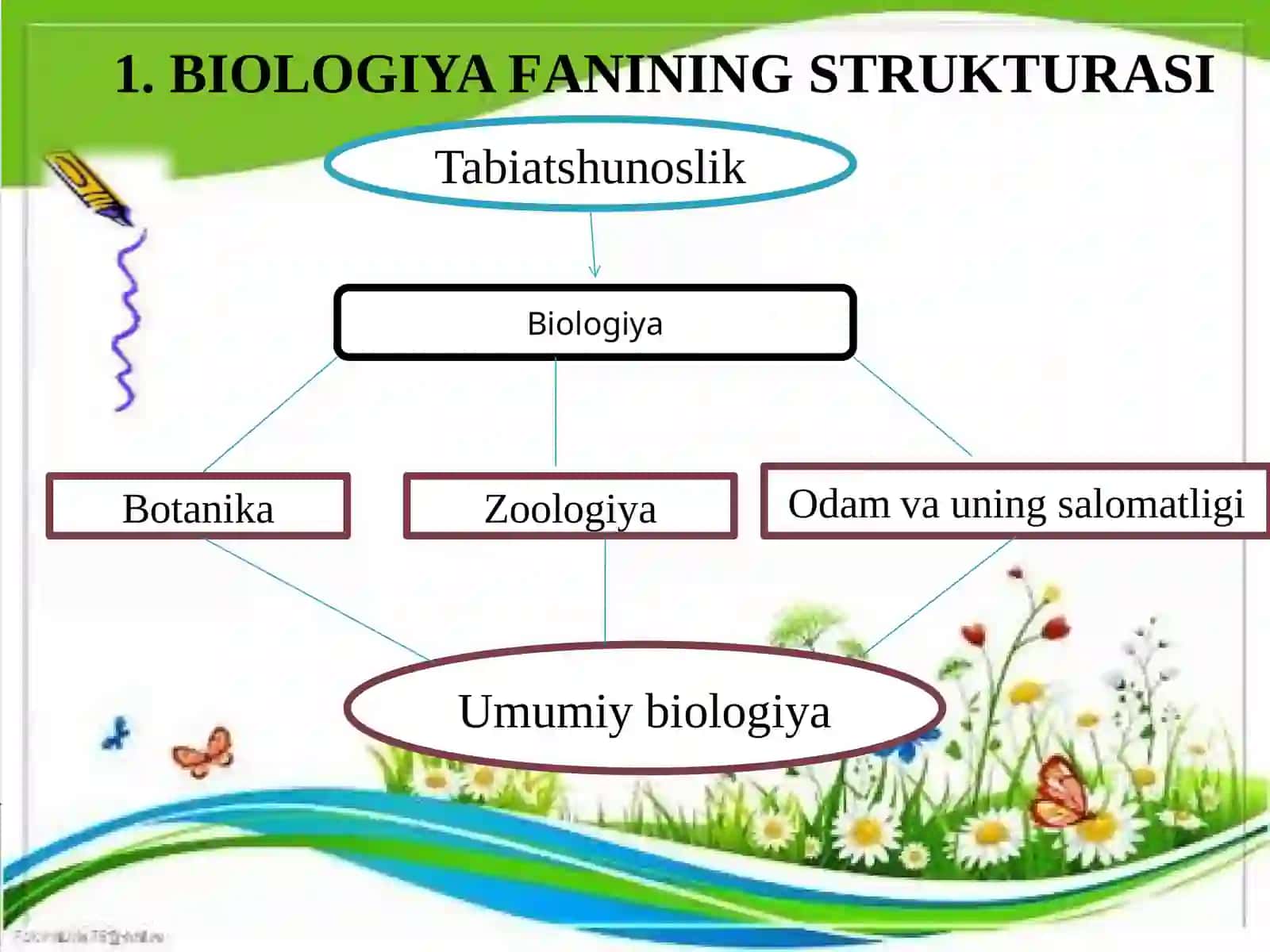 ODAM ANATOMIYASI VA FIZIOLOGIYASINI O’QITISH METODLARI VA TEXNOLOGIYALARI 3