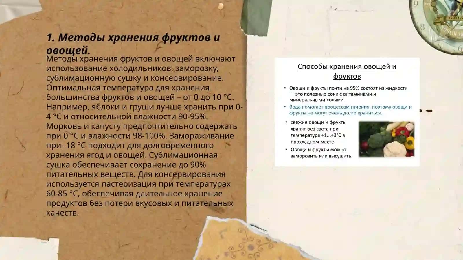 Технология хранения и переработки фруктов и овощей 3