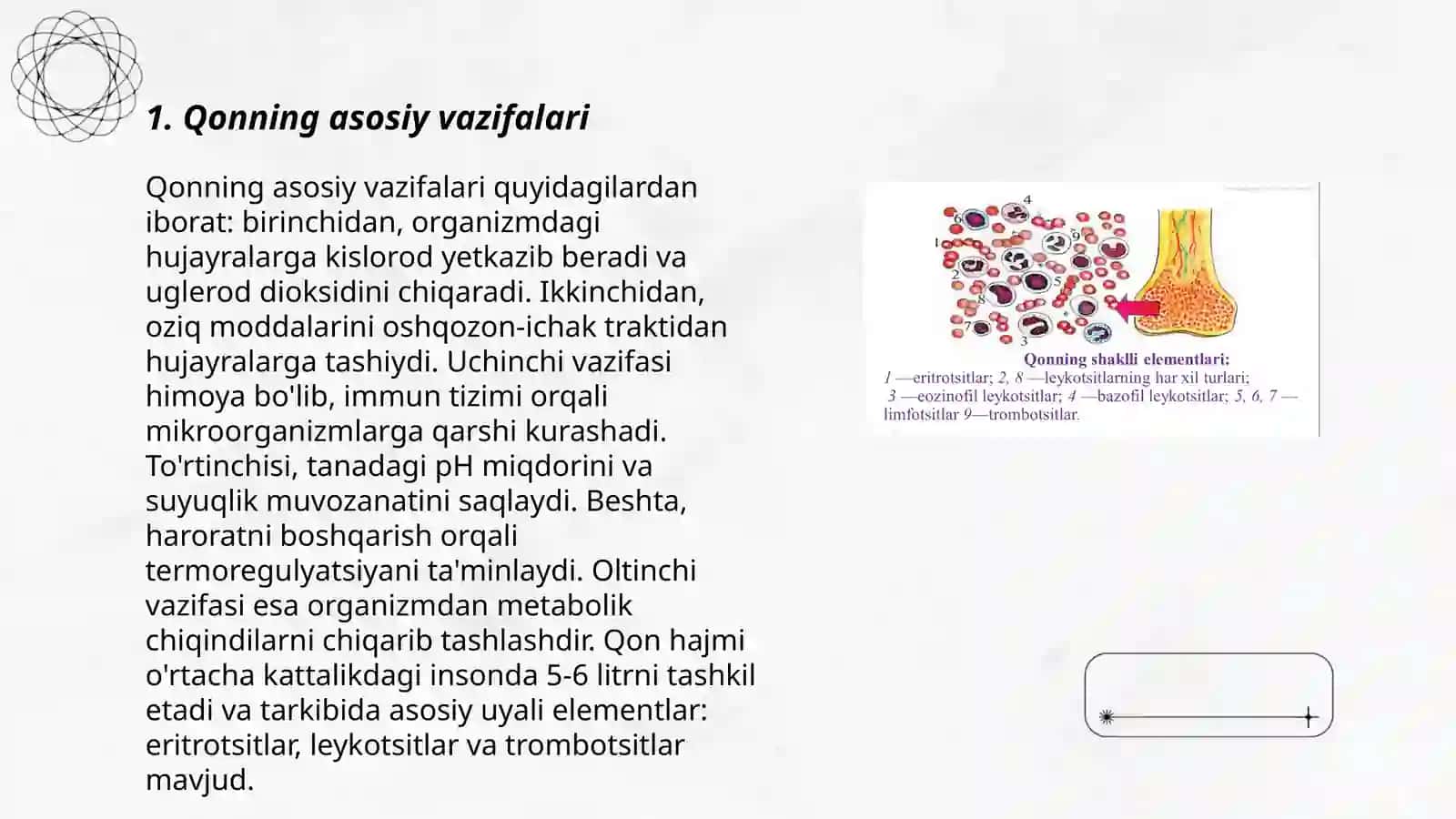 Qon fiziologiyasi 3