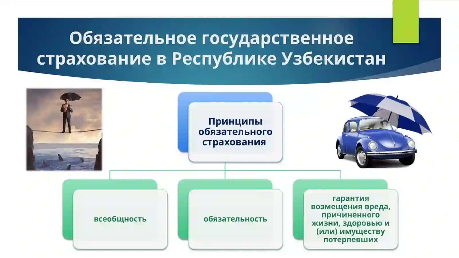 Обязательное государственное страхование и его особенности 3