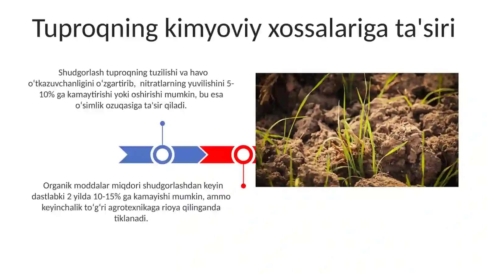 Yerga asosiy ishlov berish va usimliklarni usishi hamda rivojlanishga tasiri 3