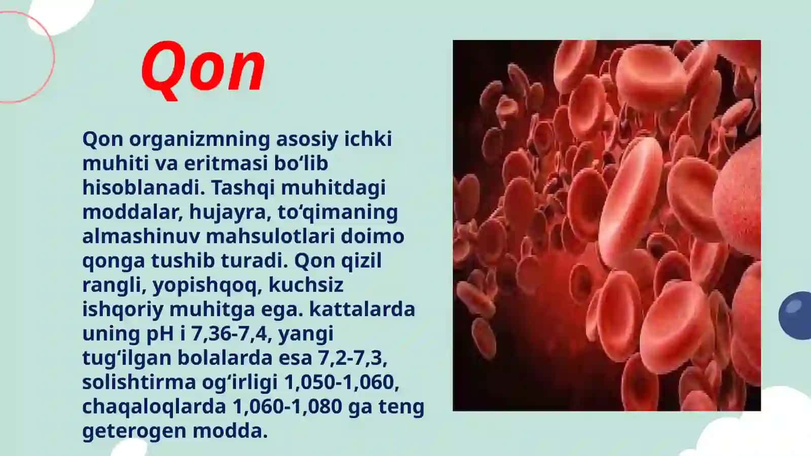 QonHosilbo’lishi 3