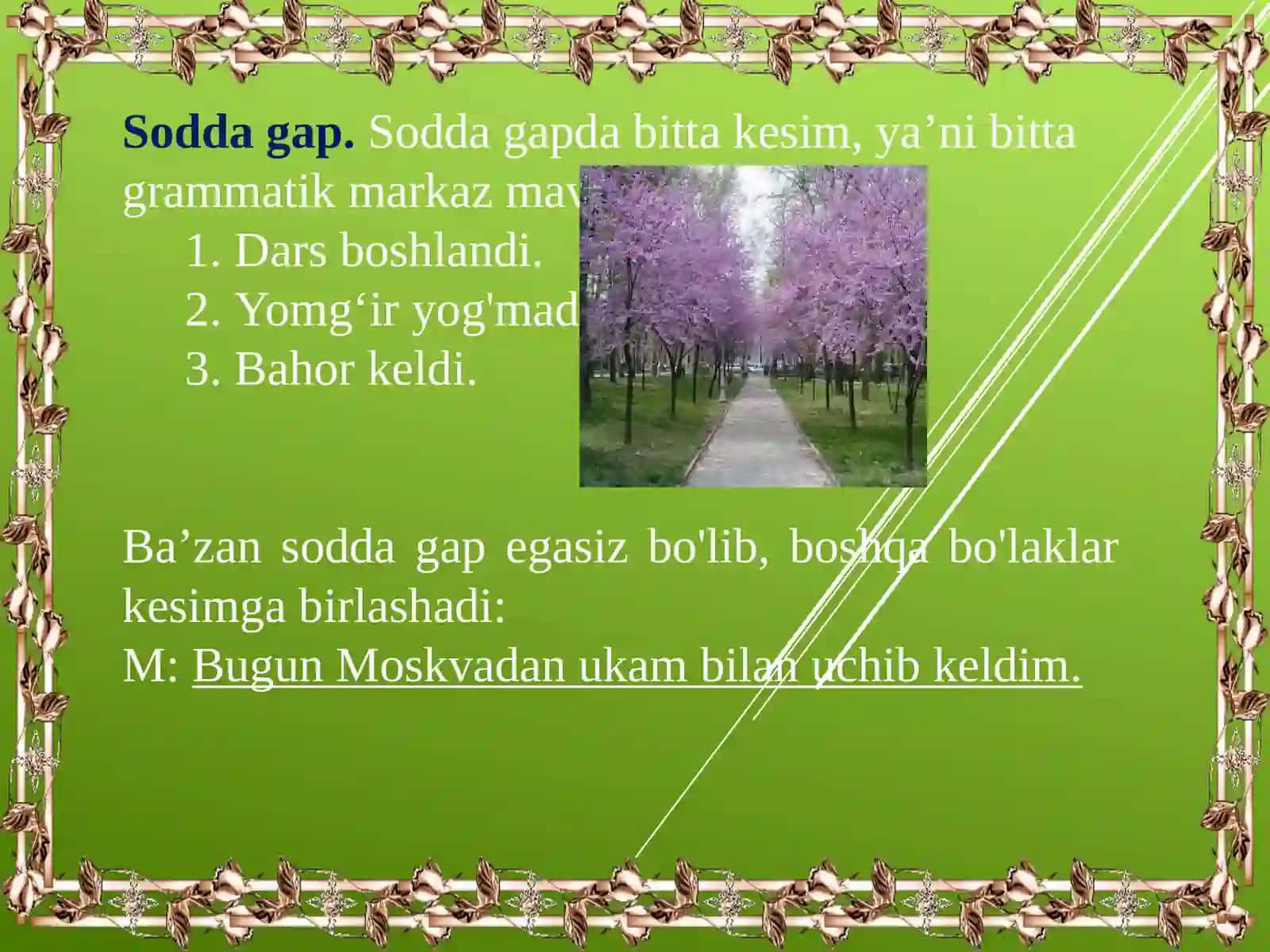 Boschi. Mustaqil ishi 3