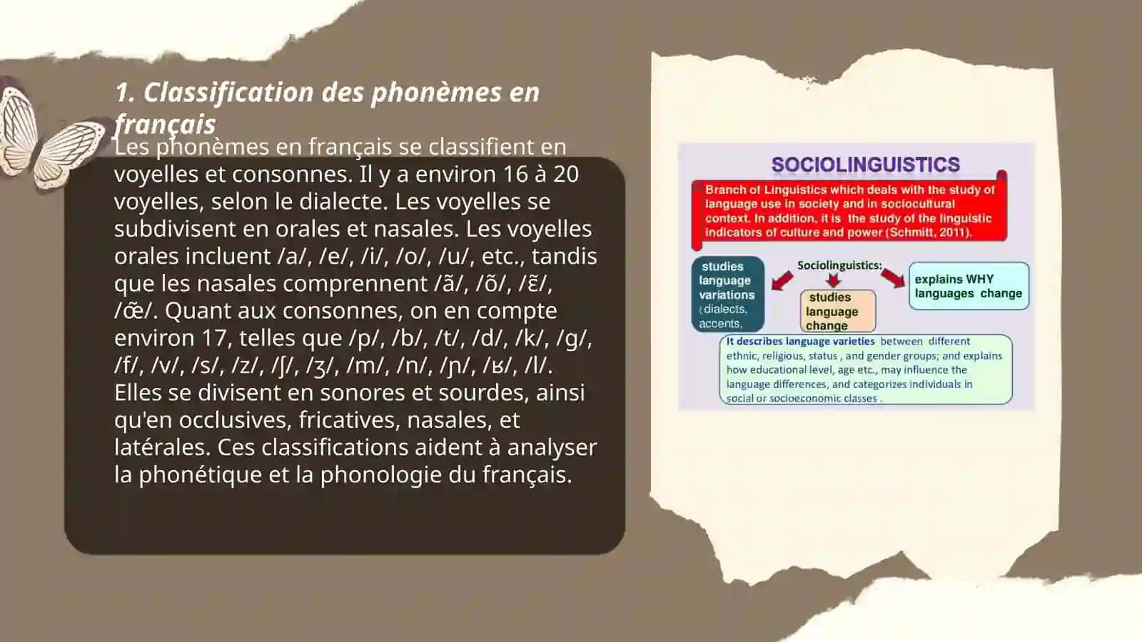Classification des phonèmes en français 3
