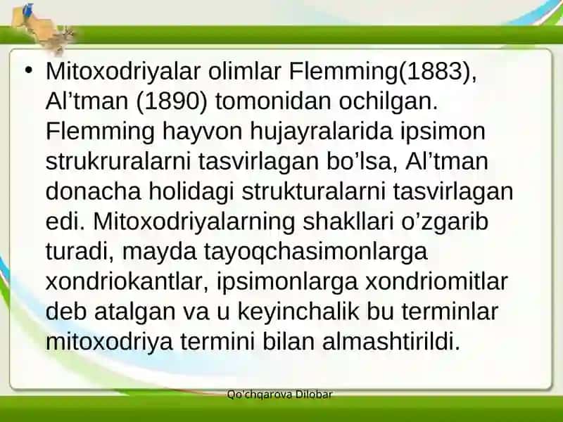 Mitoxodriya va Plastidalar 3