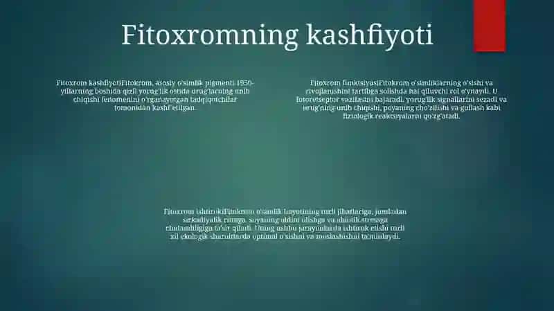 Fitoxrom 3