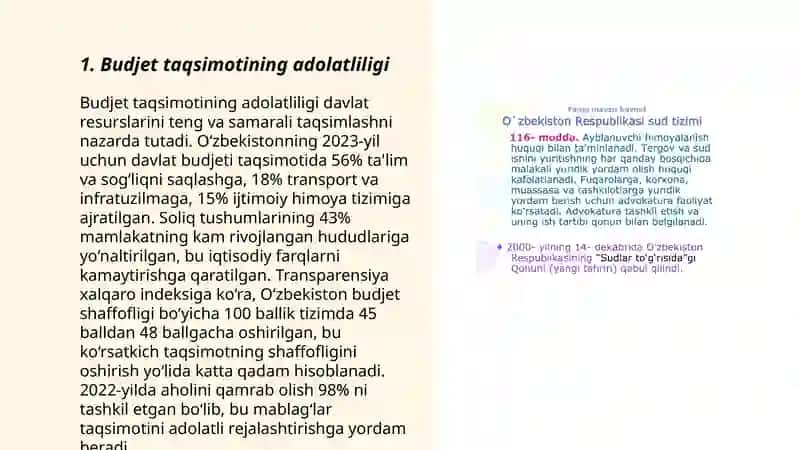 Budjet tizimini isloh qilishning dolzarb muammolari 3