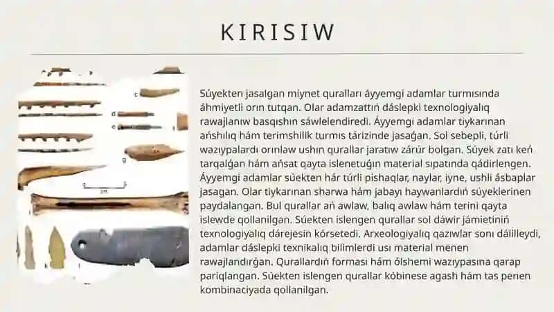 Suyekden jasalgan miynet qurallari 3