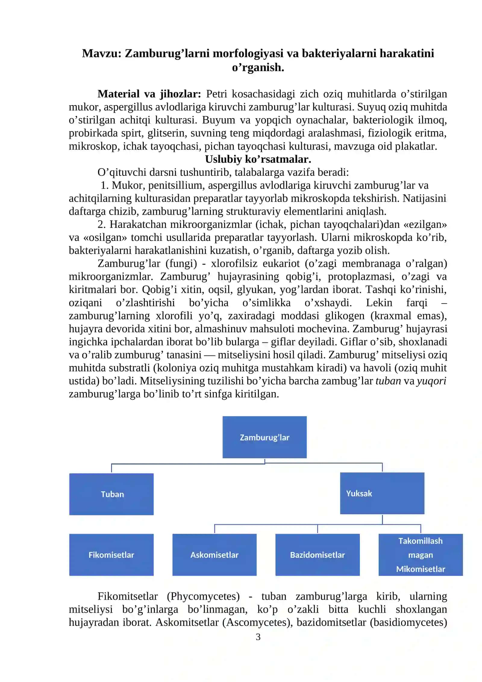 Zamburug’larni morfologiyasi va bakteriyalarni harakatini o’rganish 3