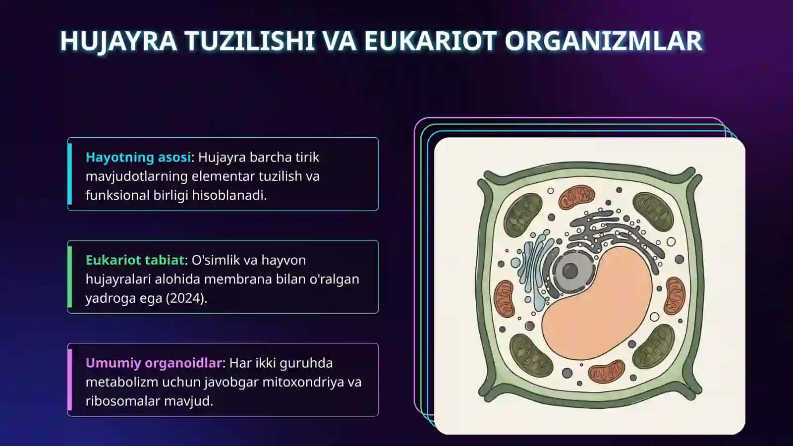 O‘simlik va hayvon hujayralari 3