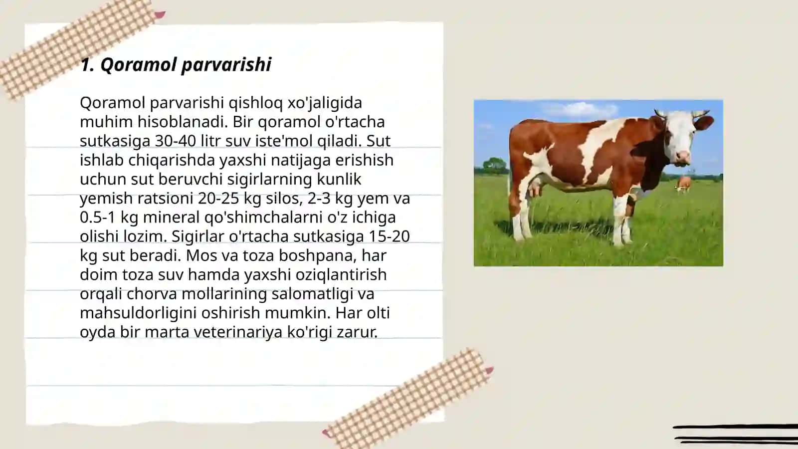 Qoramollar 3