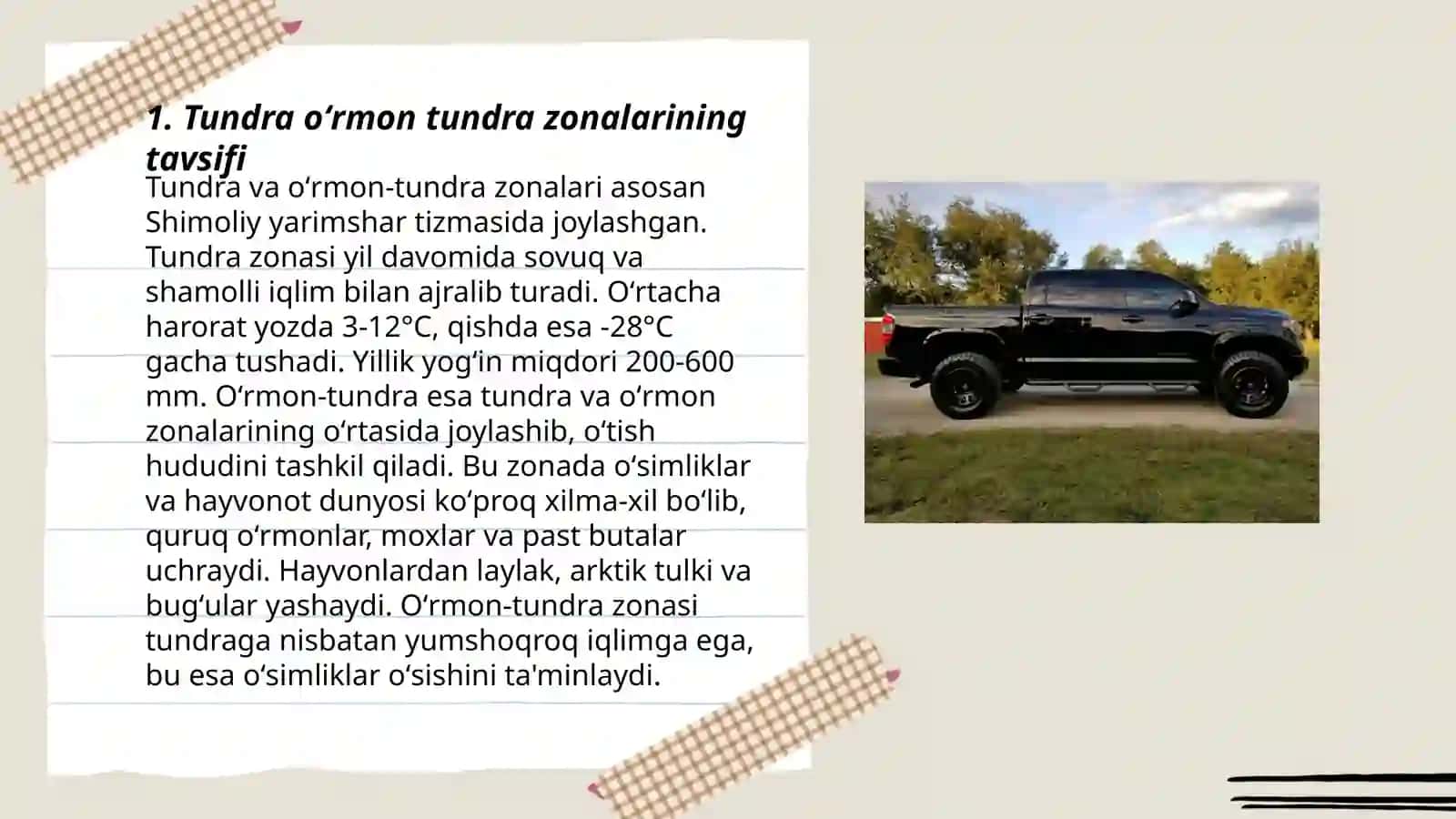 Tundra oʻrmon tundra zonasi tuproqlari 3