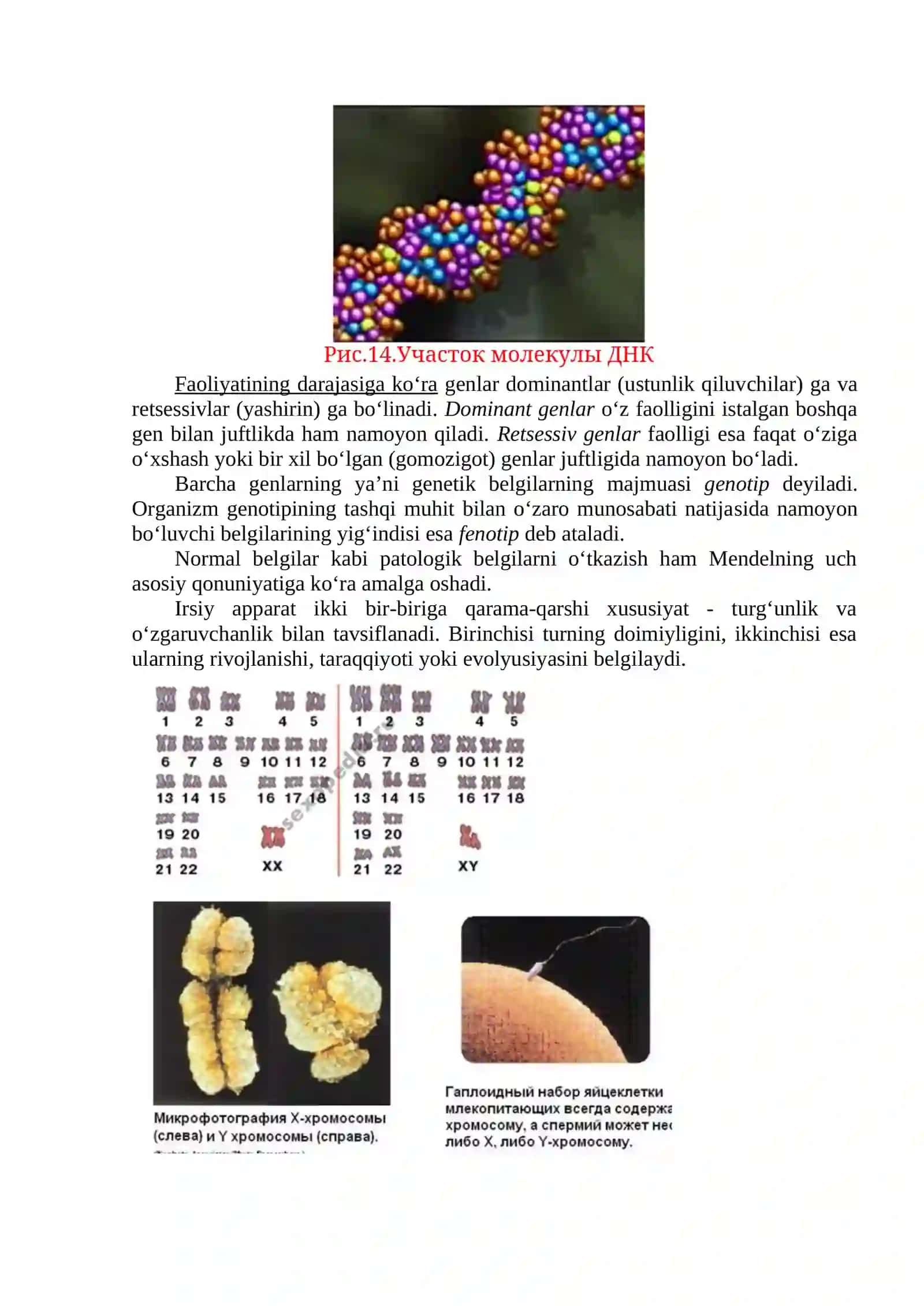 Patologicheskaya fiziologiya: Uchebnik 3