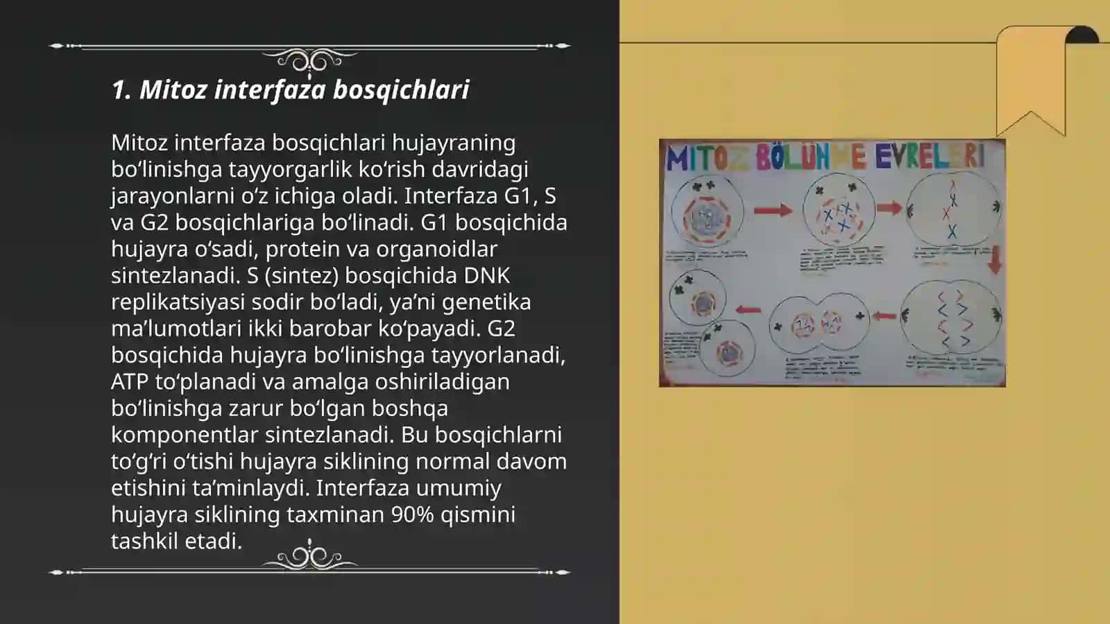 Mitoz Interfaza 3