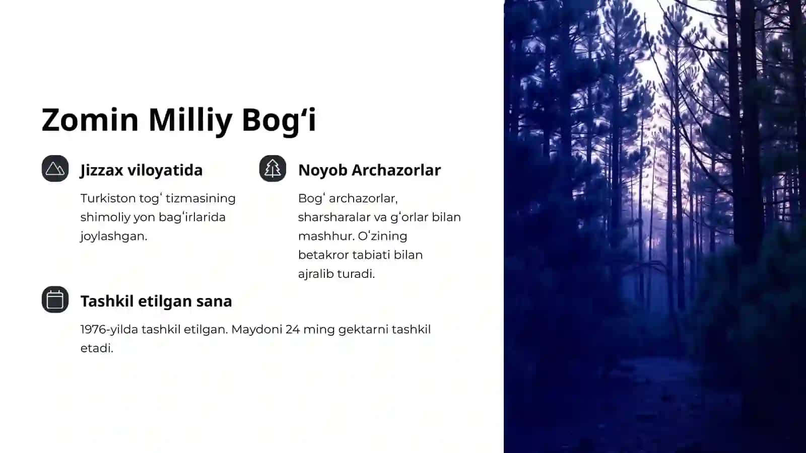 Zomin Milliy Bogʻi 3