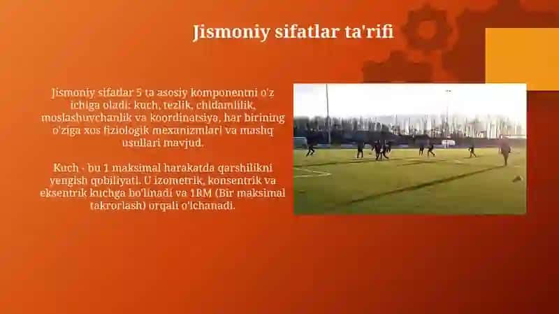Adaptiv 51.24 3