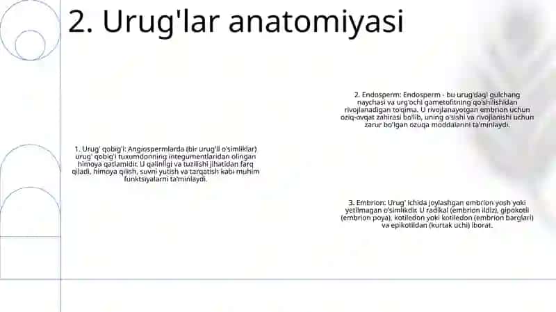 Ikki Urugʻ Pallalilar Va Bir Urugʻ Pallalilar Vakillari Orasidagi Farqli Belgilar 3