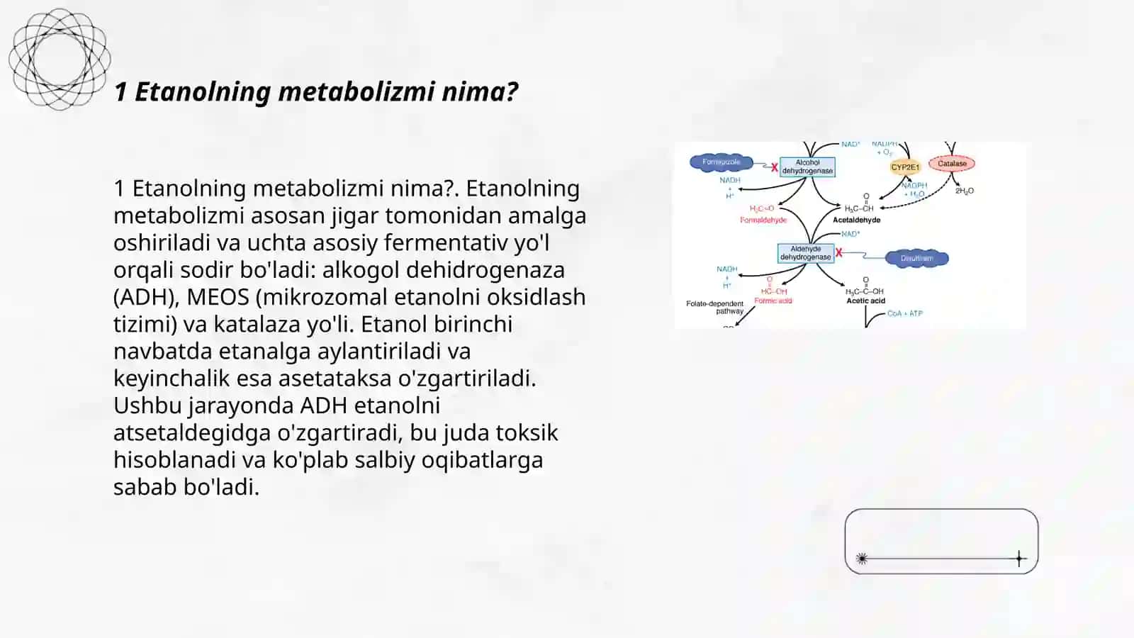 Etanolning metabalizmi 3