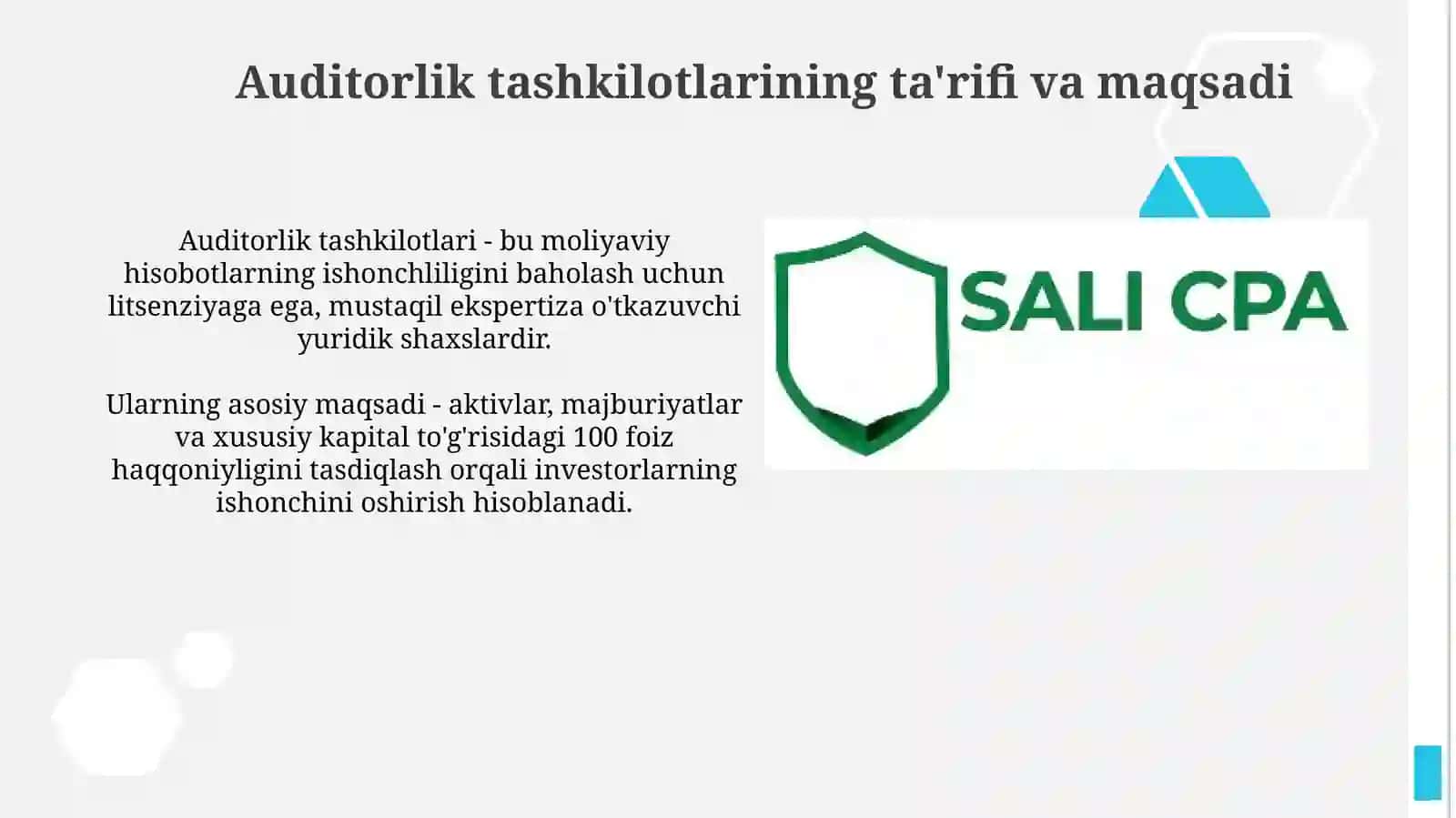Auditorlik tashkilotlarining professionalxizmatlari 3
