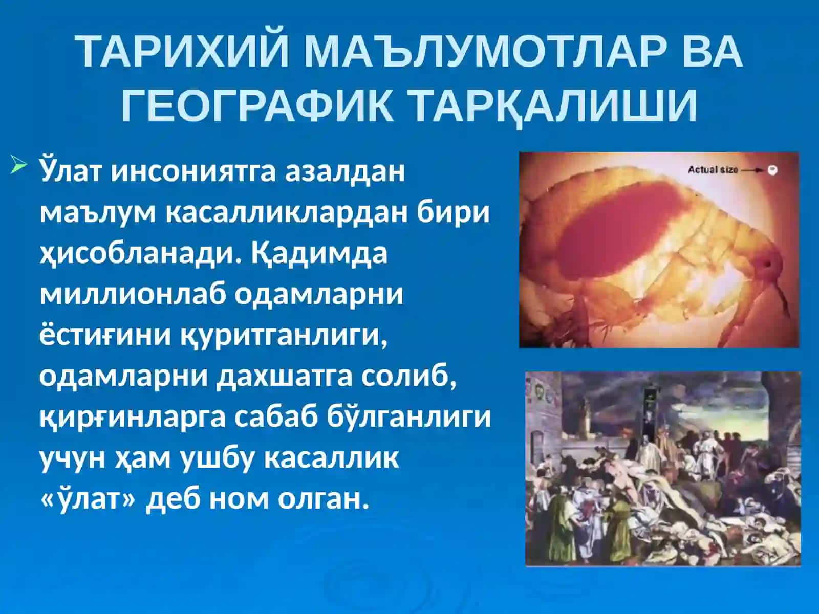 ЎЛАТ 3