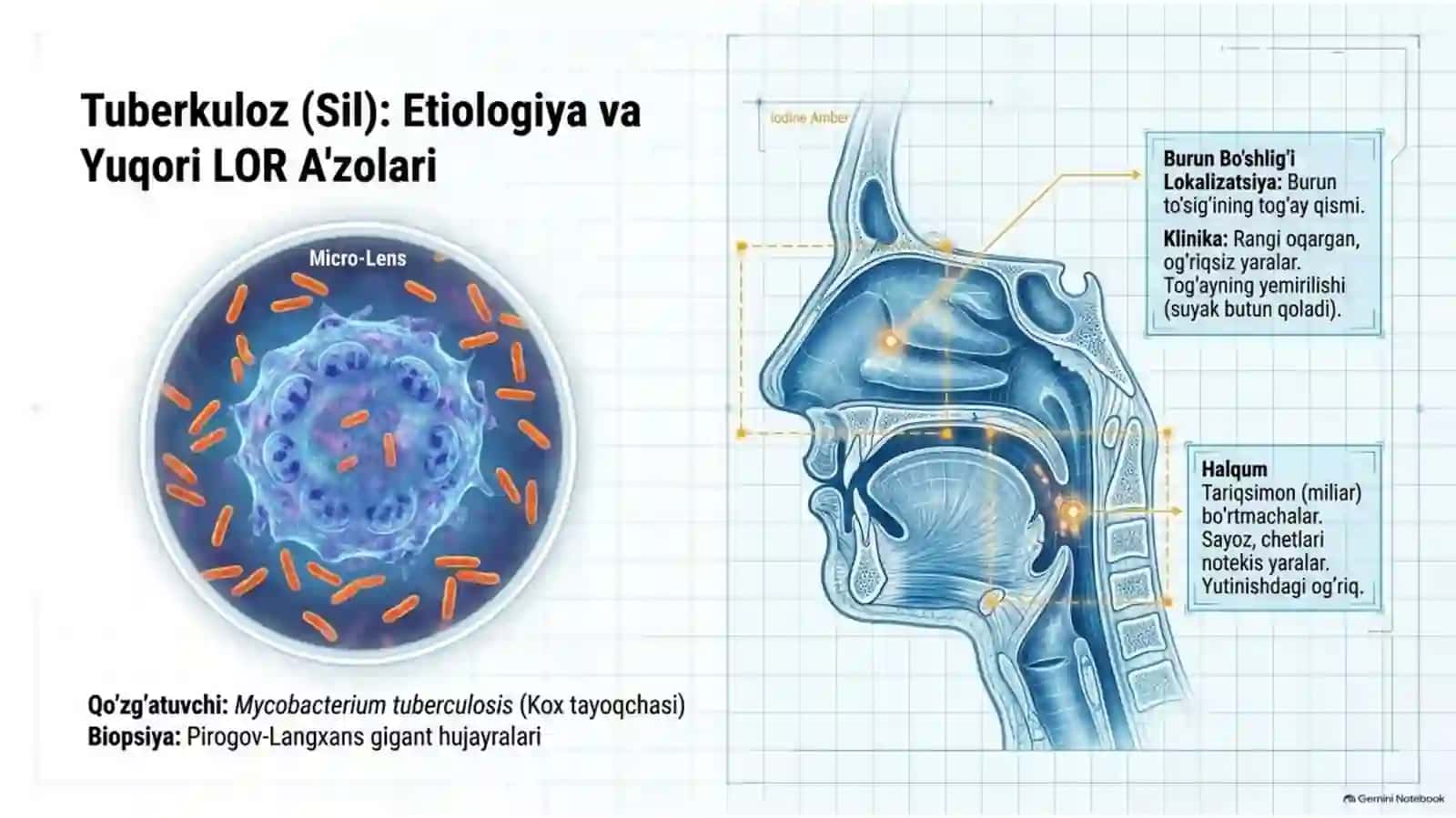 Spesifik lor kasaliklari diagnostikasi 3