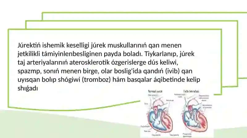 Júrek qan-tamır sistemasi kesellikleri patomorfologiyasi 3