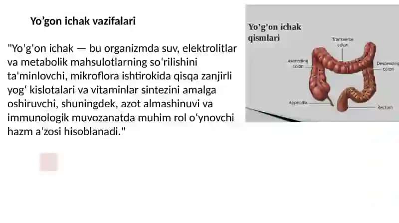Yo'gonichakvazifalari 3