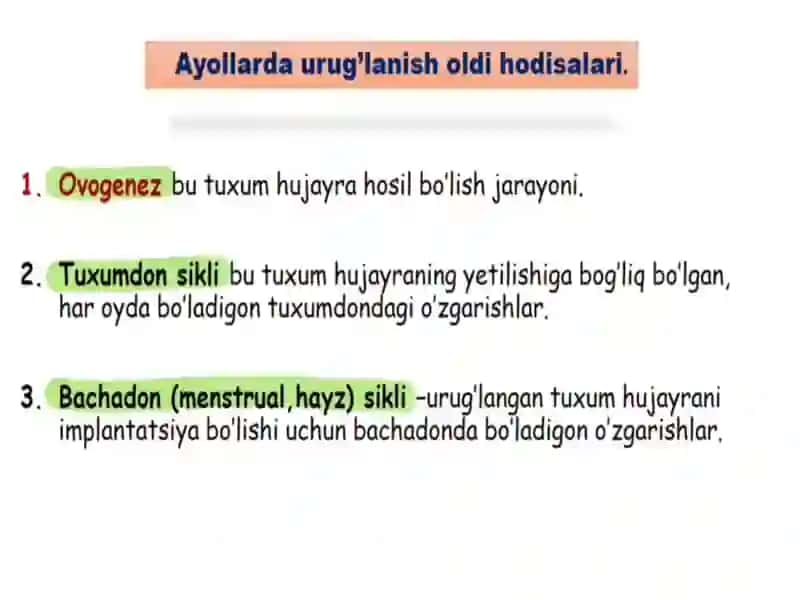 Urug'lanish. Menstrual sikl 3