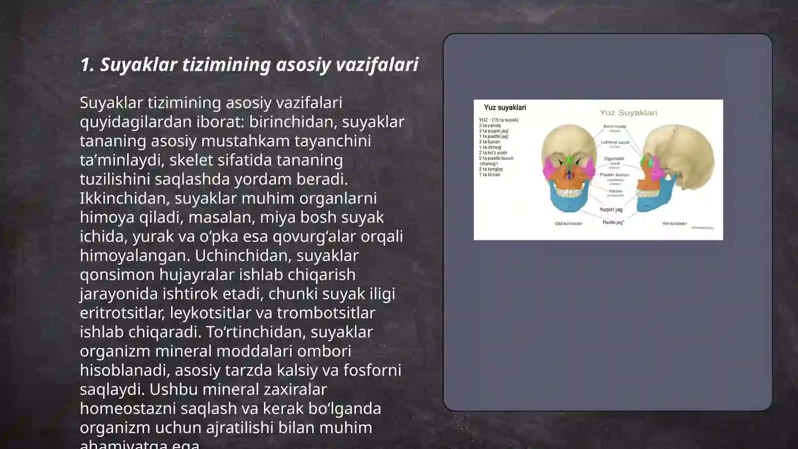 Odam tanasi skeleti va Suyaklar tizimi 3